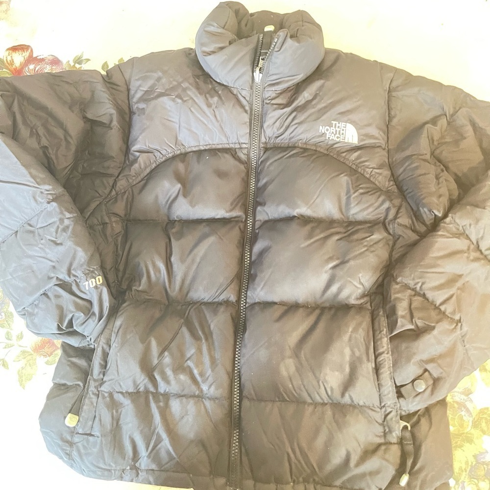 The North Face Nuptse 700 Down Jacket Blue Speckled